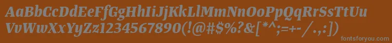 Шрифт TangerserifnarrowBolditalic – серые шрифты на коричневом фоне