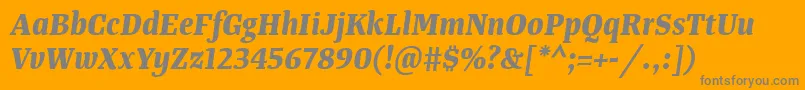 TangerserifnarrowBolditalic Font – Gray Fonts on Orange Background