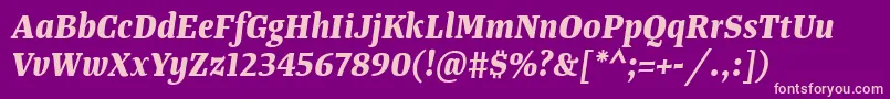 TangerserifnarrowBolditalic Font – Pink Fonts on Purple Background