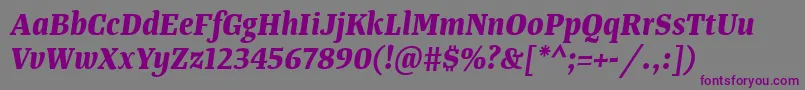 Шрифт TangerserifnarrowBolditalic – фиолетовые шрифты на сером фоне
