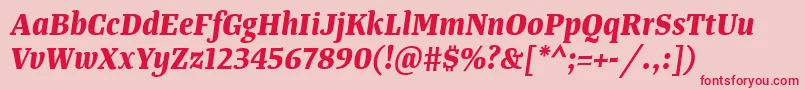 TangerserifnarrowBolditalic Font – Red Fonts on Pink Background