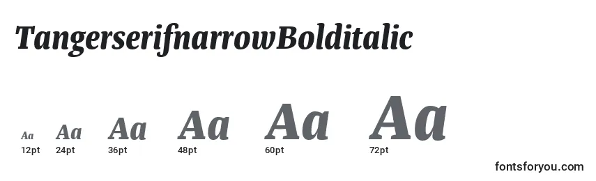 TangerserifnarrowBolditalic Font Sizes
