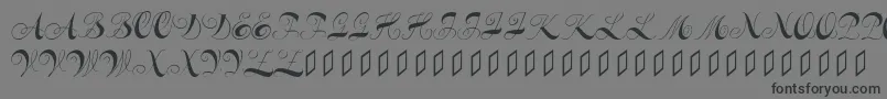 フォントConstanzeinitials – 黒い文字の灰色の背景
