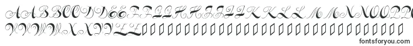 Constanzeinitials Font – Letter Fonts