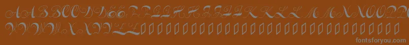フォントConstanzeinitials – 茶色の背景に灰色の文字