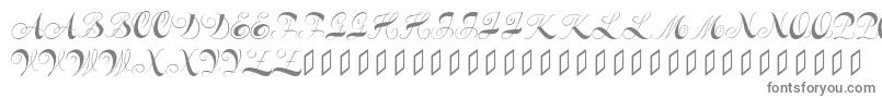 Constanzeinitials-Schriftart – Graue Schriften auf weißem Hintergrund