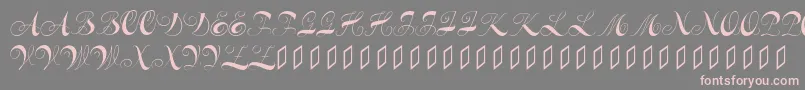 フォントConstanzeinitials – 灰色の背景にピンクのフォント