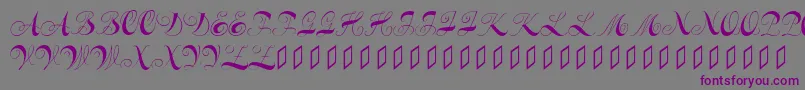 Constanzeinitials-Schriftart – Violette Schriften auf grauem Hintergrund