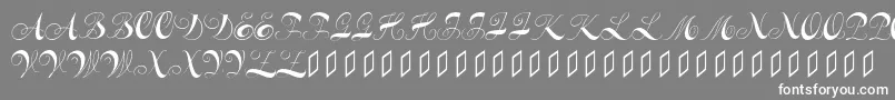 Constanzeinitials-fontti – valkoiset fontit harmaalla taustalla