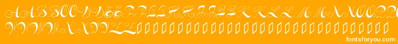 Constanzeinitials Font – White Fonts on Orange Background