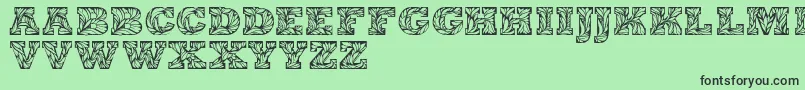 Leaffypersonaluse Font – Black Fonts on Green Background