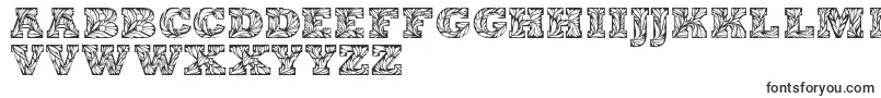 Шрифт Leaffypersonaluse – шрифты для Adobe Indesign