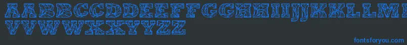 Leaffypersonaluse Font – Blue Fonts on Black Background