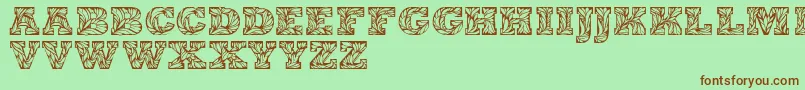 Leaffypersonaluse Font – Brown Fonts on Green Background