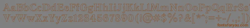 AntiquaHoRegular Font – Brown Fonts on Gray Background