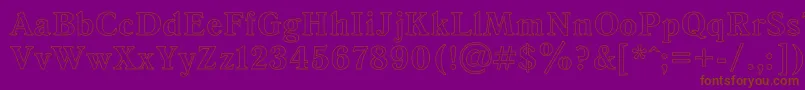 AntiquaHoRegular Font – Brown Fonts on Purple Background