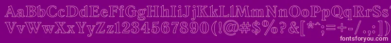 AntiquaHoRegular Font – Pink Fonts on Purple Background