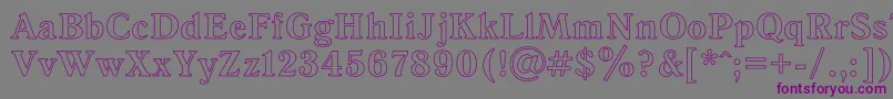 AntiquaHoRegular Font – Purple Fonts on Gray Background