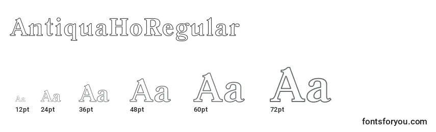 AntiquaHoRegular Font Sizes