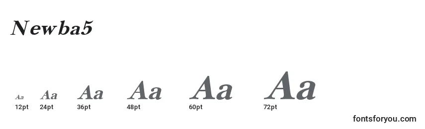 Размеры шрифта Newba5