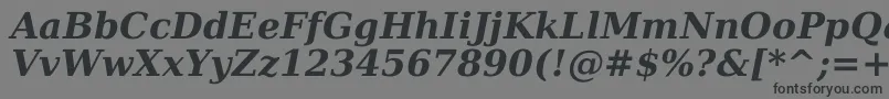 DejavuSerifBoldItalic Font – Black Fonts on Gray Background