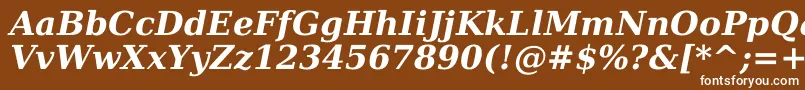 DejavuSerifBoldItalic Font – White Fonts on Brown Background