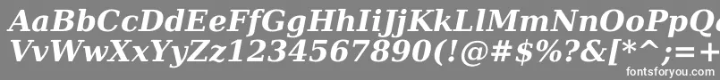 DejavuSerifBoldItalic Font – White Fonts on Gray Background