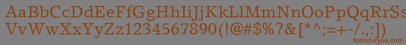 LinoLetterLtRoman Font – Brown Fonts on Gray Background