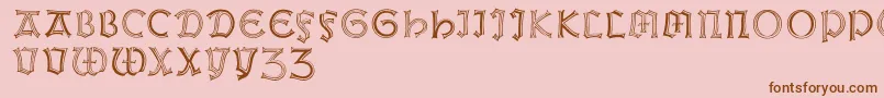 Weissgotnitials Font – Brown Fonts on Pink Background