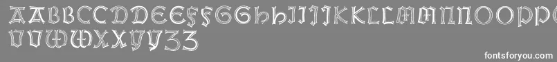 フォントWeissgotnitials – 灰色の背景に白い文字