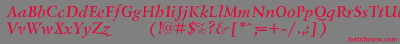 LazurskiexpodcBolditalic Font – Red Fonts on Gray Background