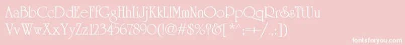 University.Kz Font – White Fonts on Pink Background