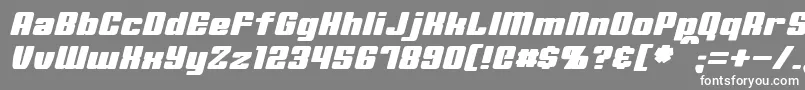 フォントMinervaItalic – 灰色の背景に白い文字