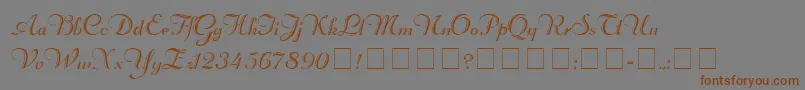 RechtmanScriptMedium Font – Brown Fonts on Gray Background