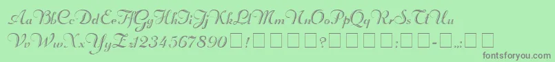 RechtmanScriptMedium Font – Gray Fonts on Green Background