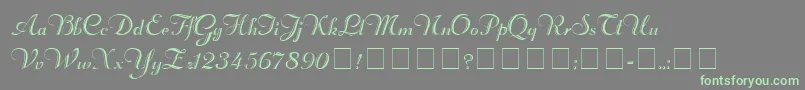 RechtmanScriptMedium Font – Green Fonts on Gray Background