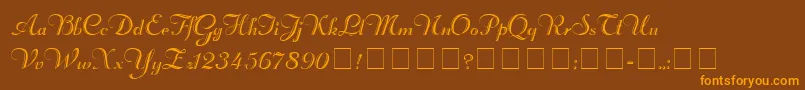 RechtmanScriptMedium Font – Orange Fonts on Brown Background