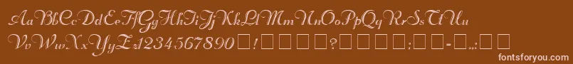 RechtmanScriptMedium Font – Pink Fonts on Brown Background