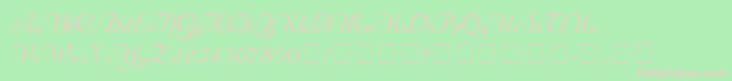 RechtmanScriptMedium Font – Pink Fonts on Green Background