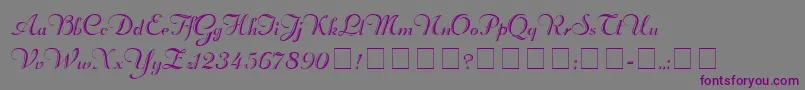 RechtmanScriptMedium-Schriftart – Violette Schriften auf grauem Hintergrund