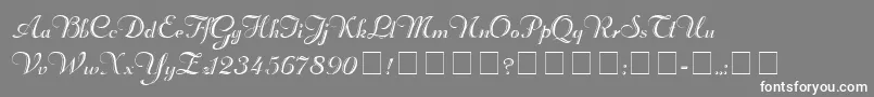 RechtmanScriptMedium Font – White Fonts on Gray Background