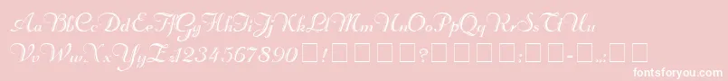 RechtmanScriptMedium Font – White Fonts on Pink Background