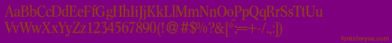 C791RomanRegular Font – Brown Fonts on Purple Background