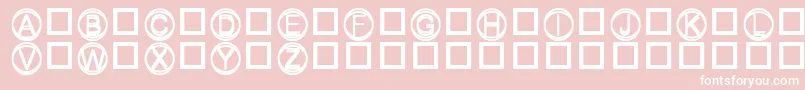 Knapp-Schriftart – Weiße Schriften auf rosa Hintergrund