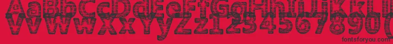 AmokyHalftone2Typeface Font – Black Fonts on Red Background