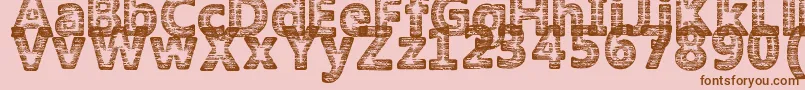 AmokyHalftone2Typeface Font – Brown Fonts on Pink Background