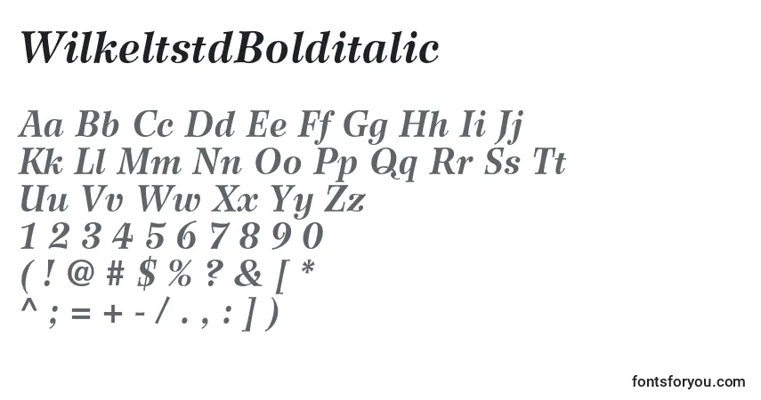 A fonte WilkeltstdBolditalic – alfabeto, números, caracteres especiais
