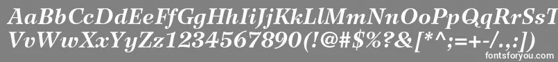 フォントWilkeltstdBolditalic – 灰色の背景に白い文字