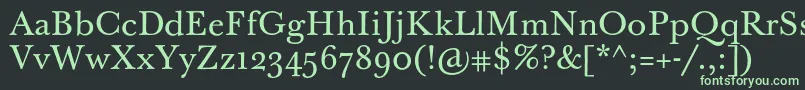 Шрифт BaskervilleTenPro – зелёные шрифты на чёрном фоне