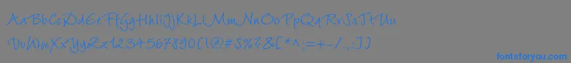 フォントWiesbadenswingc – 灰色の背景に青い文字